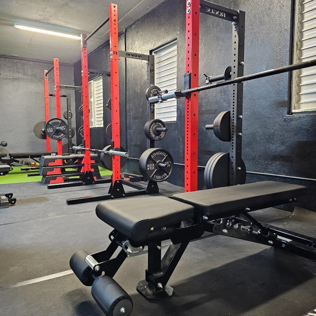 SHRXD BOX gym workout bench array