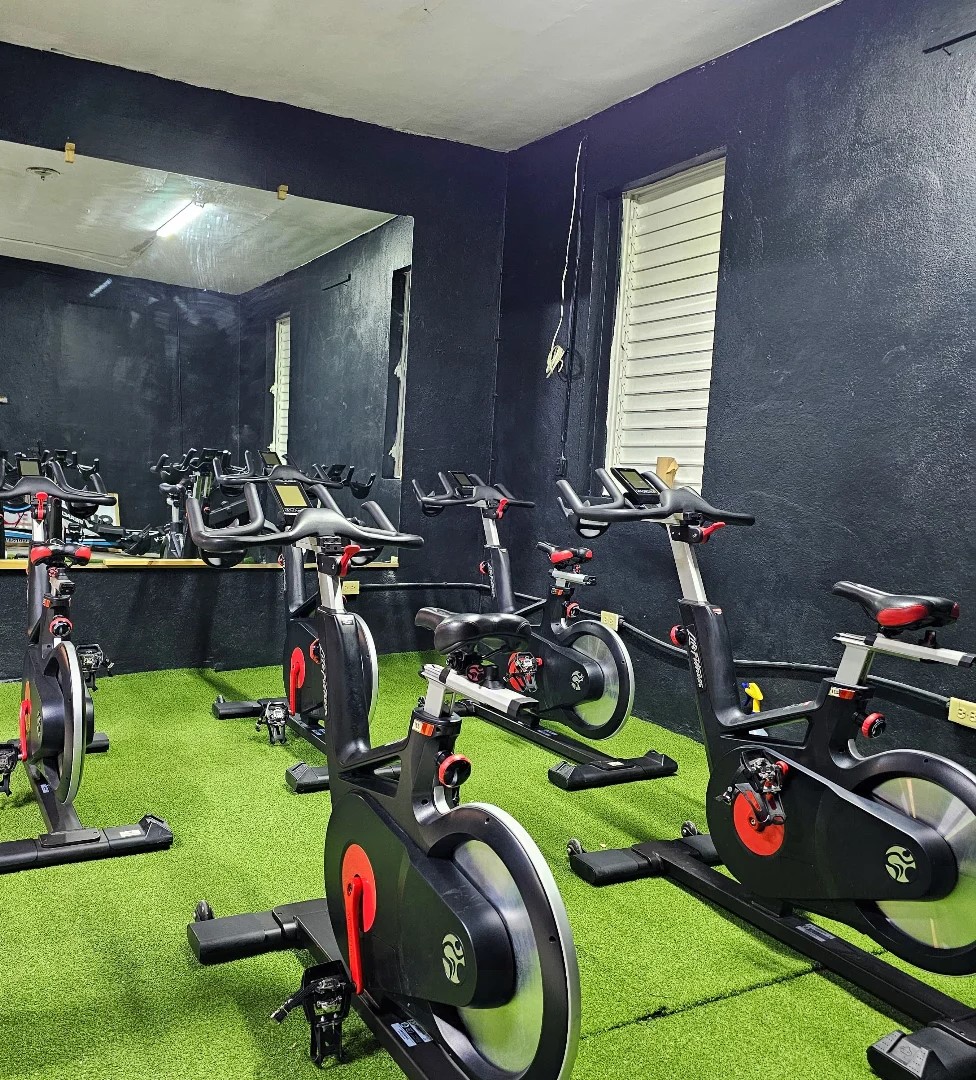 Cardio Deck specialized treadmills and rowers